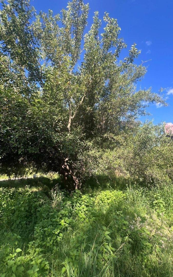 Foto de VENTA LOTE VILLA DEL TOTORAL, imagen 4