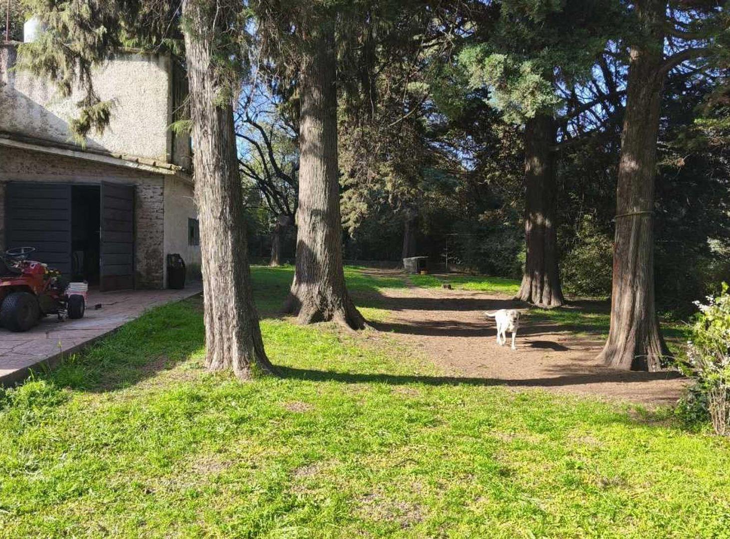 Foto de VENTA CASA EN CABANA UNQUILLO, imagen 4