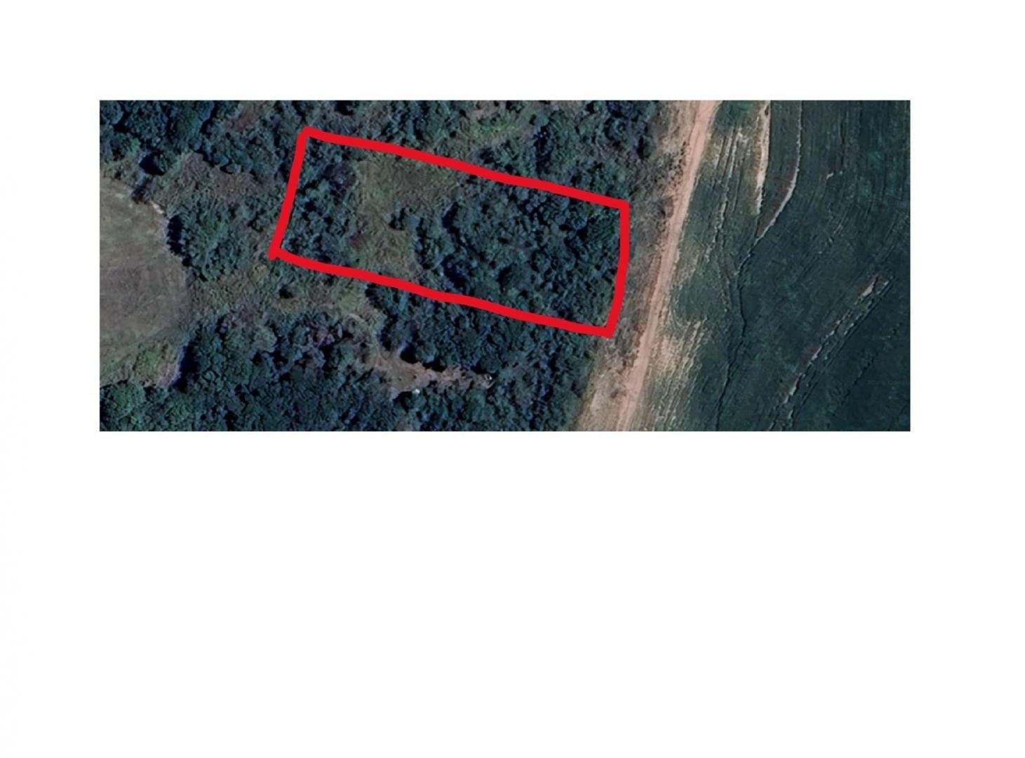 Foto de VENTA LOTE EN FALDA DEL CARMEN 2500 M2 C/ESCRITURA, imagen 2