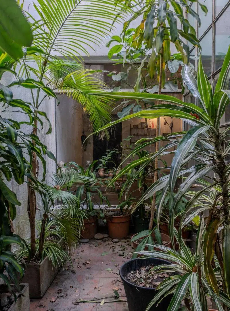 Venta PH en Palermo Soho con Patio y Terraza sin expensas. Oportunidad para Reciclar 2