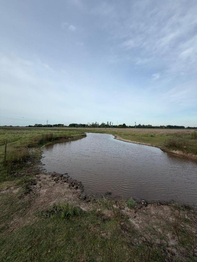 Foto de CAMPO en VENTA Cortines Pdo de Luján ideal para Producción y Descanso, imagen 5