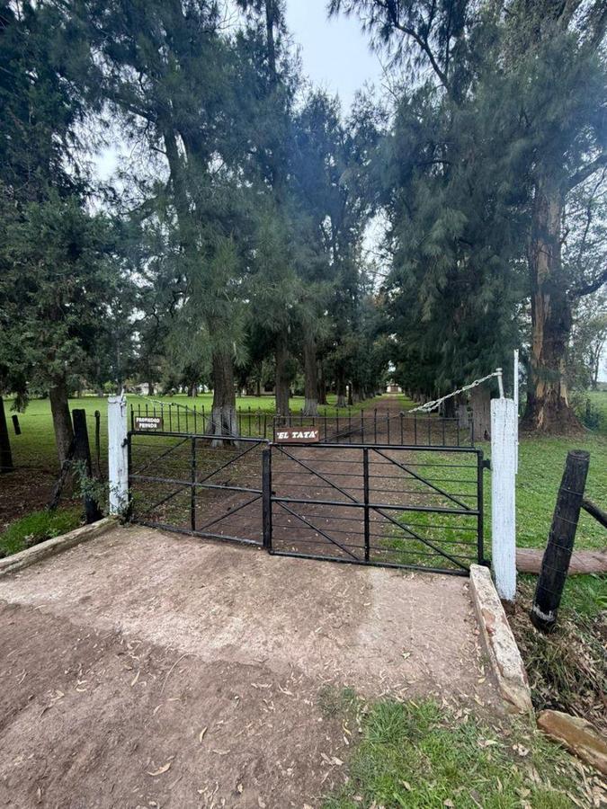 Foto de CAMPO en VENTA Cortines Pdo de Luján ideal para Producción y Descanso, imagen 4