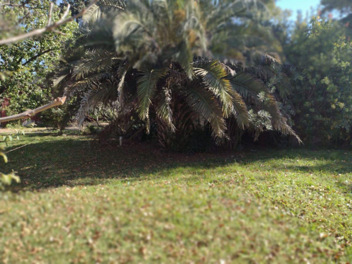 Foto de VENTA DE LOTE 300 Mts² - CON ESCRITURA, imagen 2
