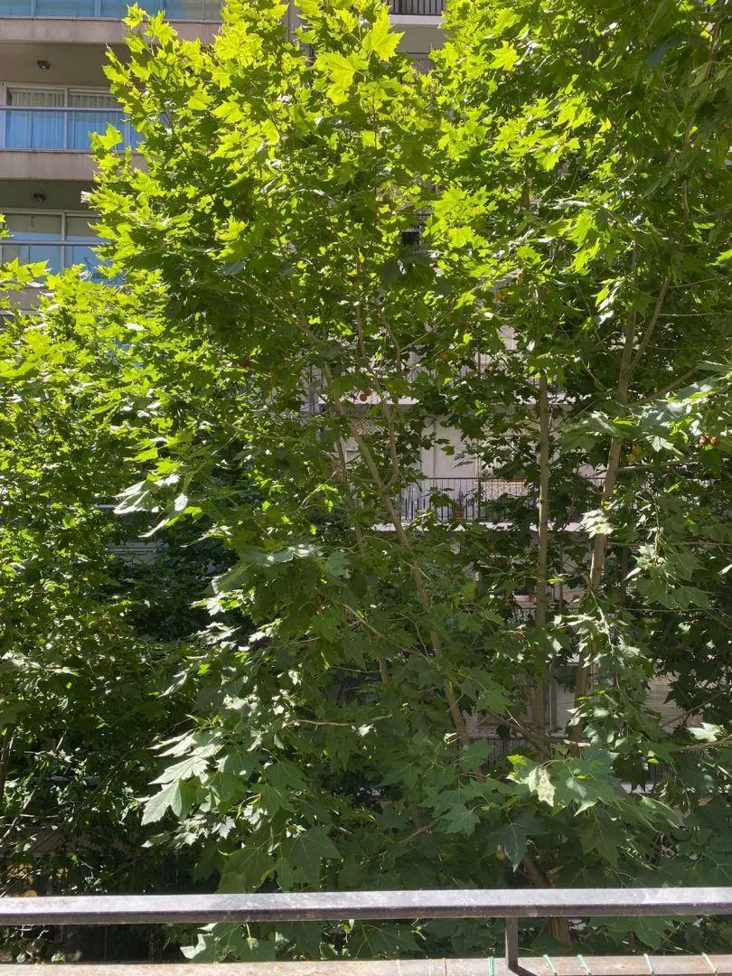 Venta monoambiente ideal inversion  -recoleta 2