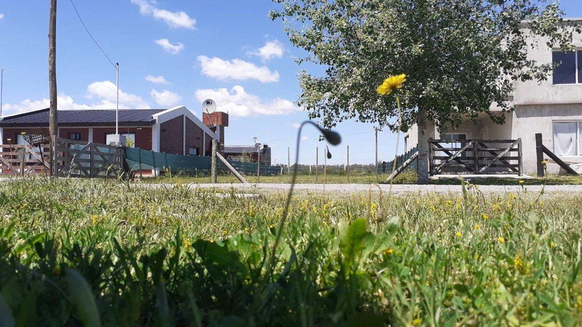Hermoso lote con vista al campo, bajada de luz, en Domselaar Chico