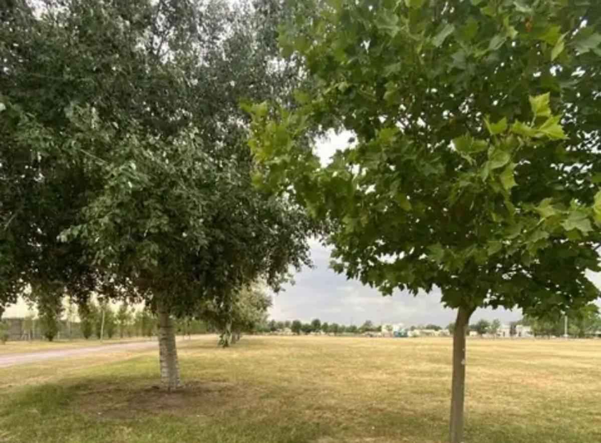 FINCAS SPORTING! LOTE DOBLE, GAS NATURAL, FIBRA OP