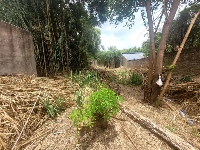 Terreno venta Remedios Escalada. 5