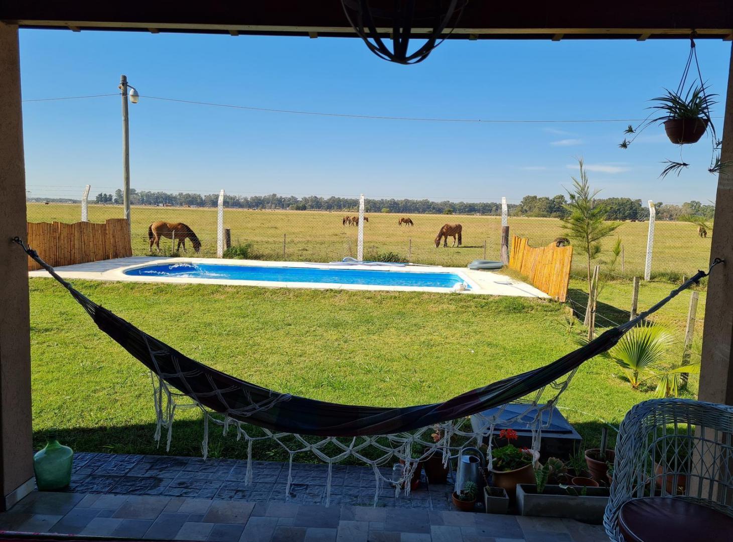 Foto de Hermosa casa 2 plantas con vista al campo en Domselaar Chico VENTA, imagen 3