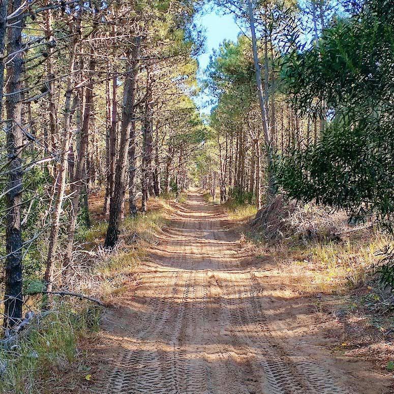Foto de Terreno en Ostende, Pinamar, imagen 2