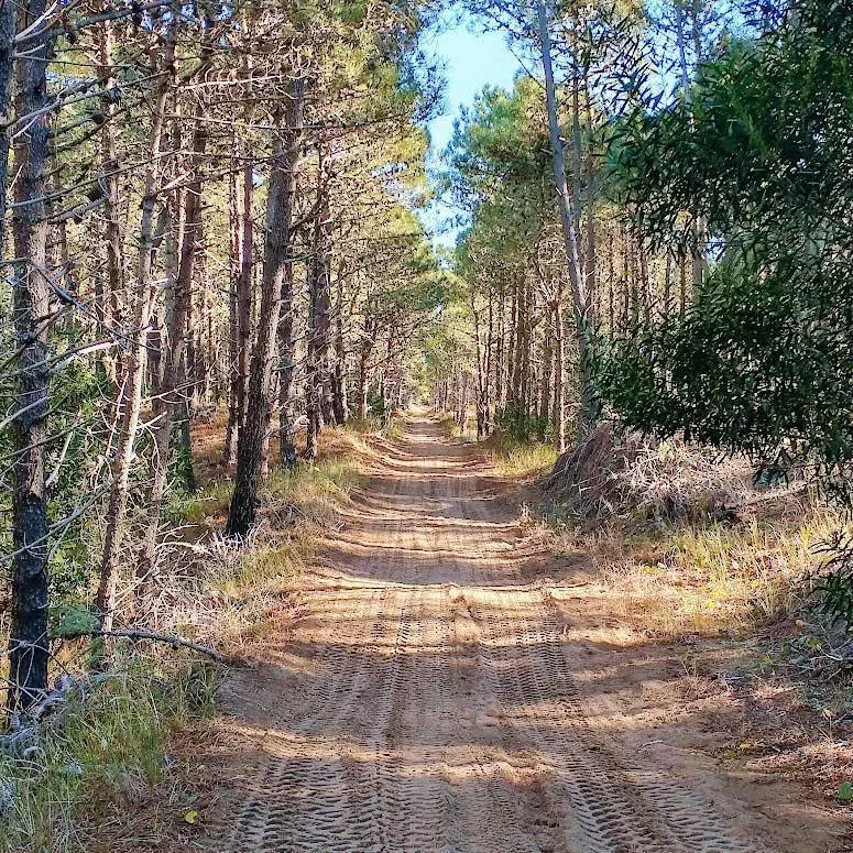 Terreno en Ostende, Pinamar 1