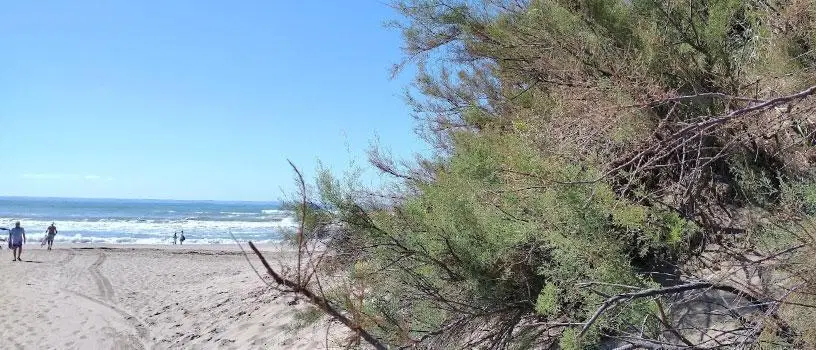 Terreno en Ostende, Pinamar 2
