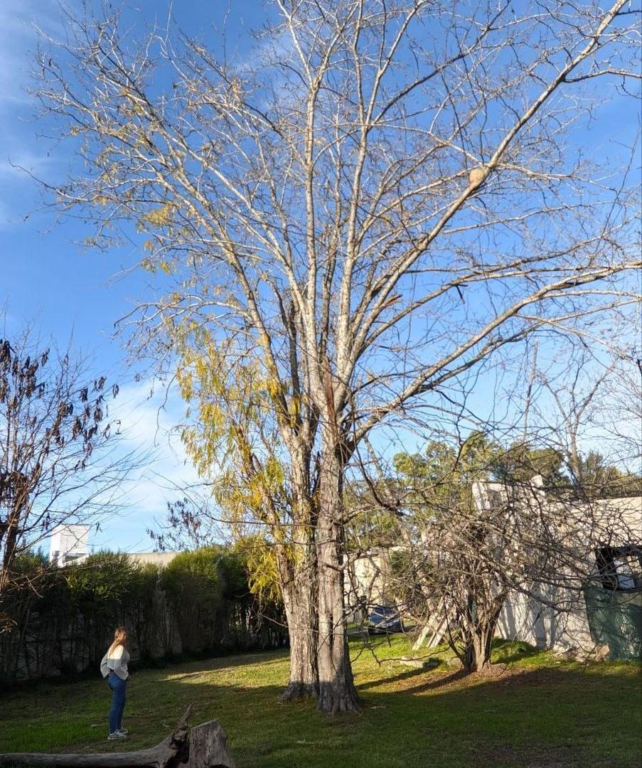 Foto de Terreno en venta en zona centrica San Vicente, imagen 5