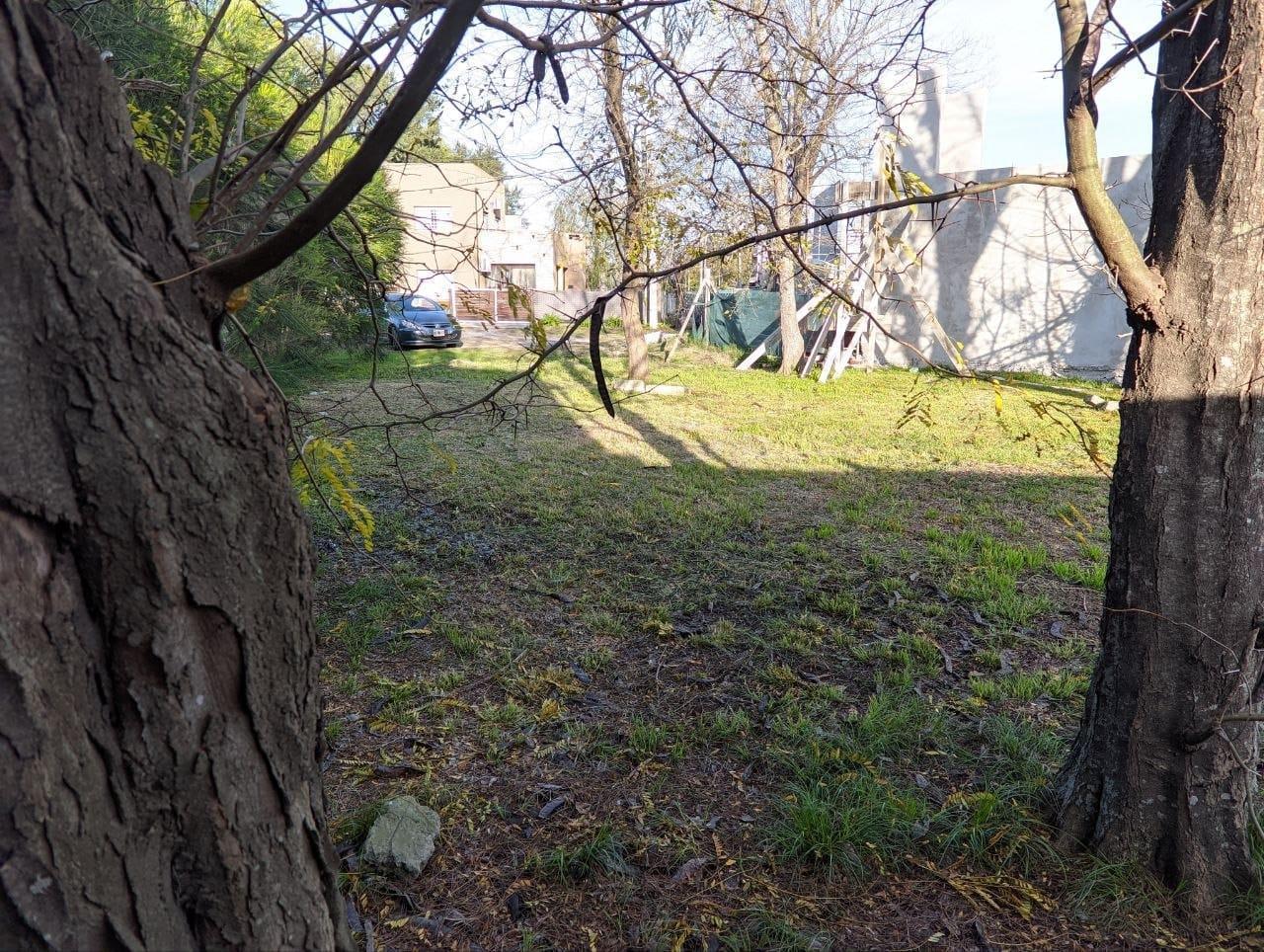 Foto de Terreno en venta en zona centrica San Vicente, imagen 1