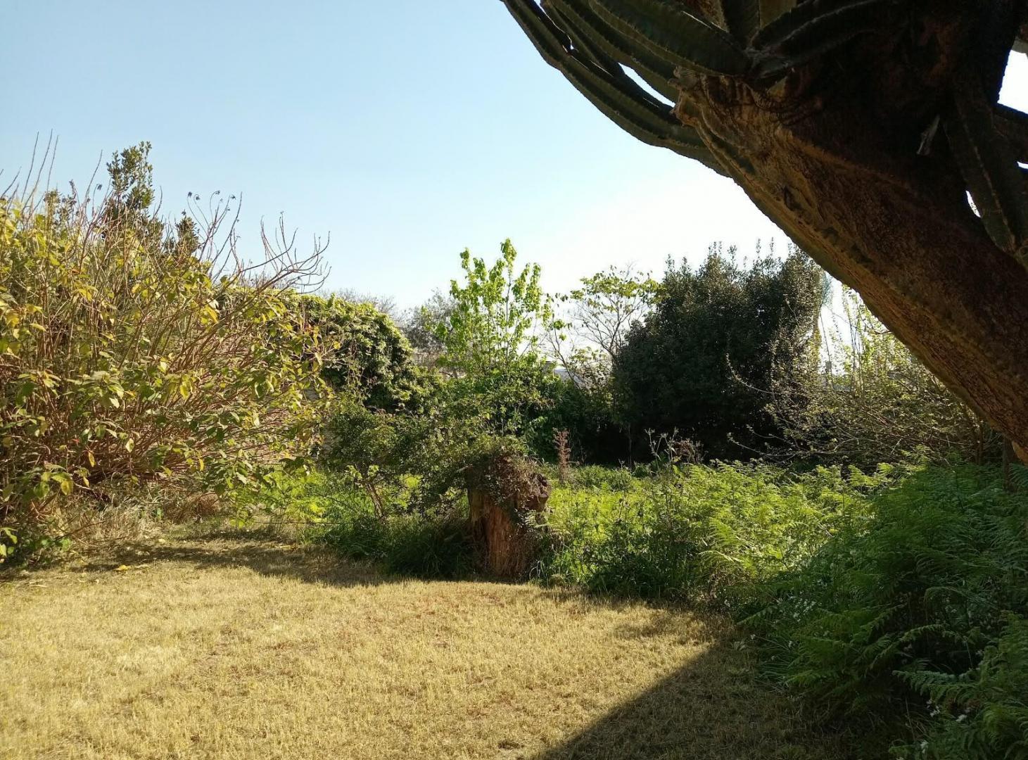 Foto de Terreno en Lomas de Zamora Oeste, imagen 5