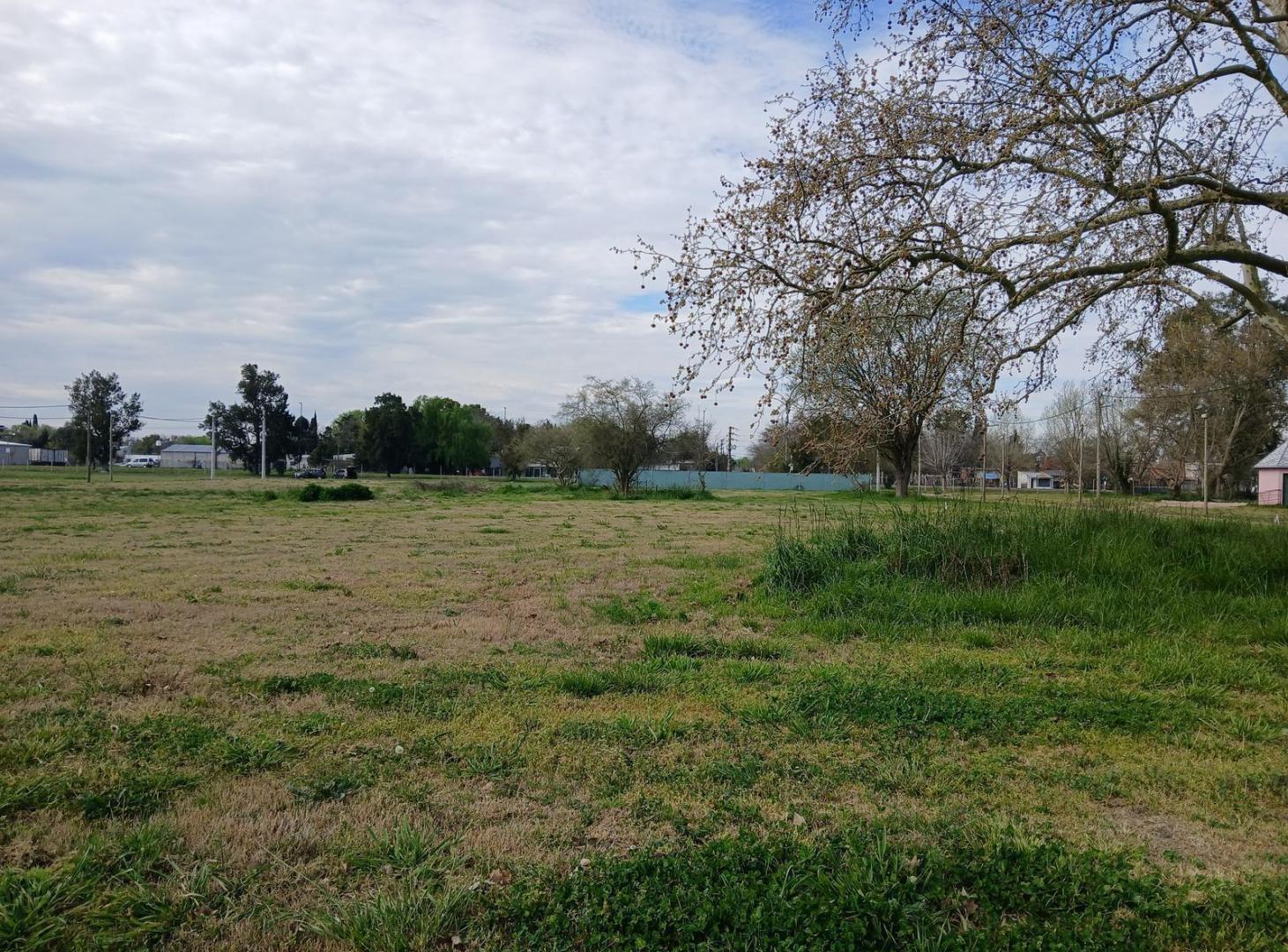 Foto de Lote en nuevo emprendimiento Felicitas, de Domselaar, anticipo y, imagen 5
