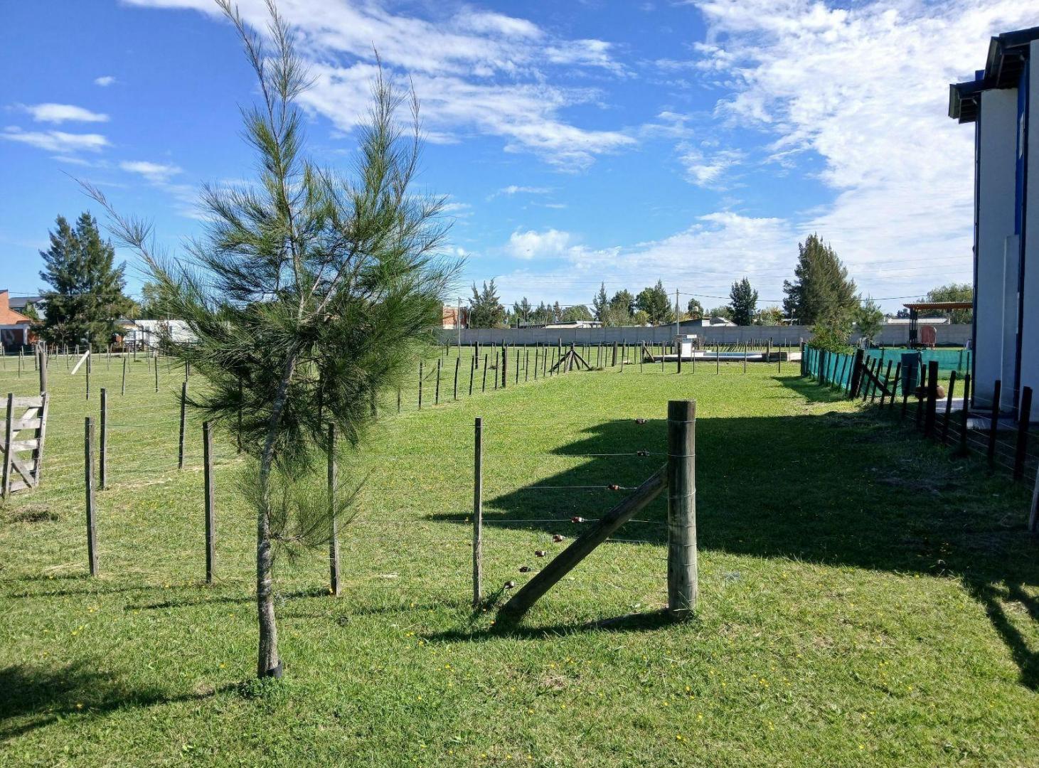 Foto de Gran Lote con precio inmejorable en el barrio Domselaar Chico urgente, imagen 5