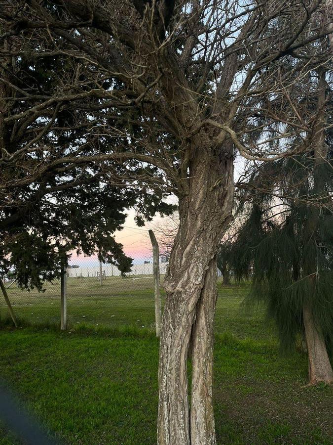 Foto de Gran Lote con precio inmejorable en el barrio Domselaar Chico urgente, imagen 1