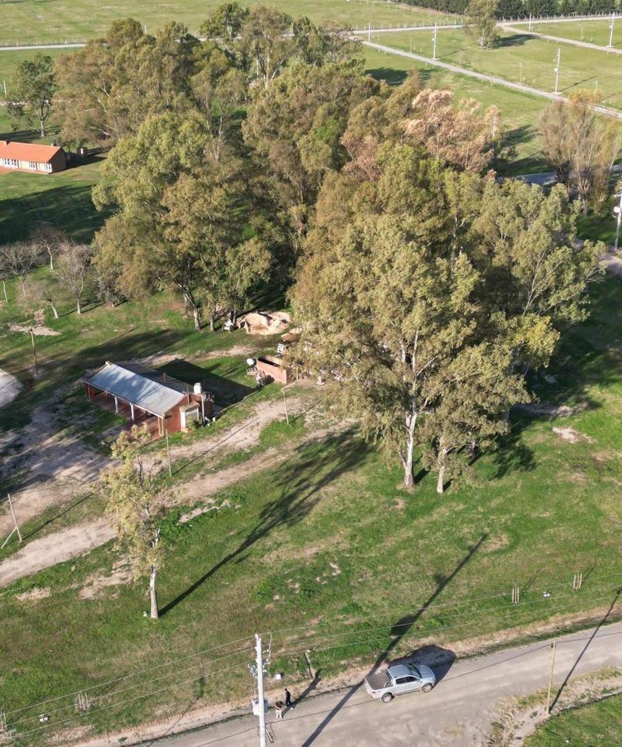 Foto de Lote en venta - San Vicente, imagen 2