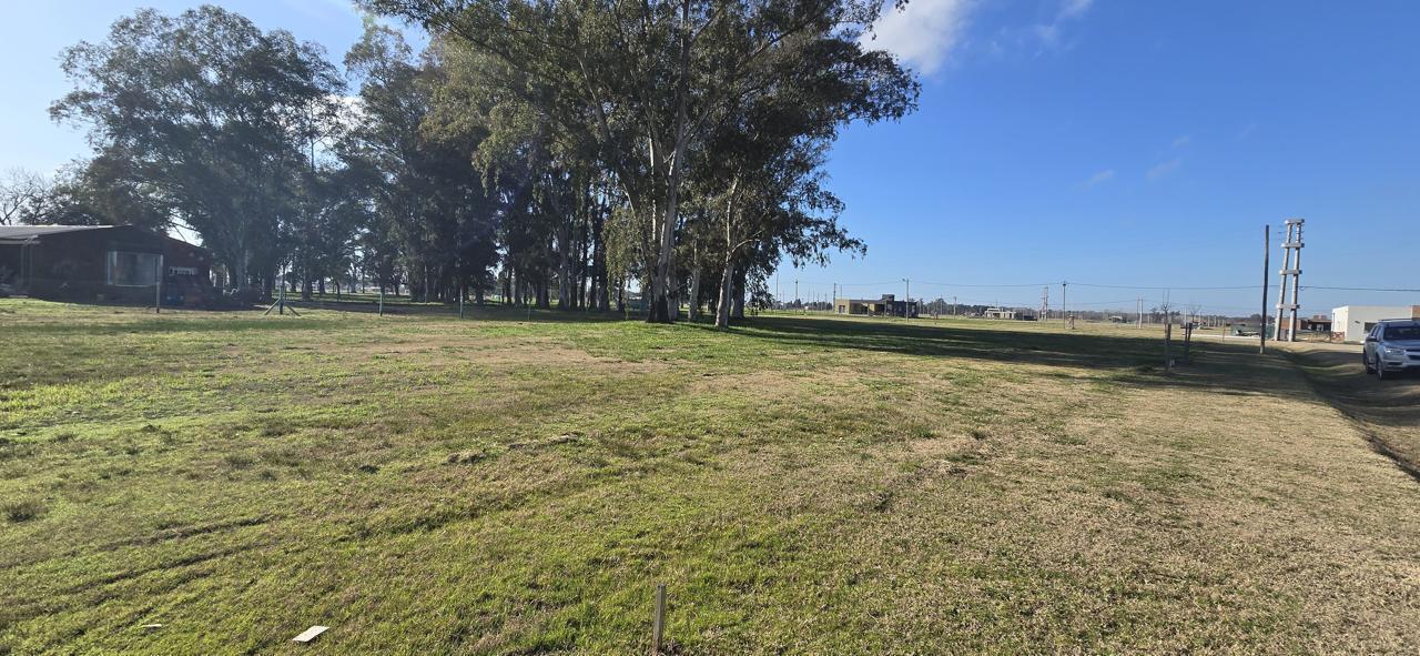 Foto de Lote en venta - San Vicente, imagen 4