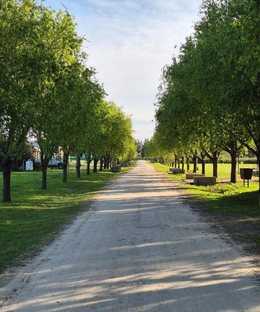 Foto de LOTE 401 EN VENTA - "CAMPOS DE ROCA II" - EXCELENTE UBICACIÓN EN CUL DE, imagen 4