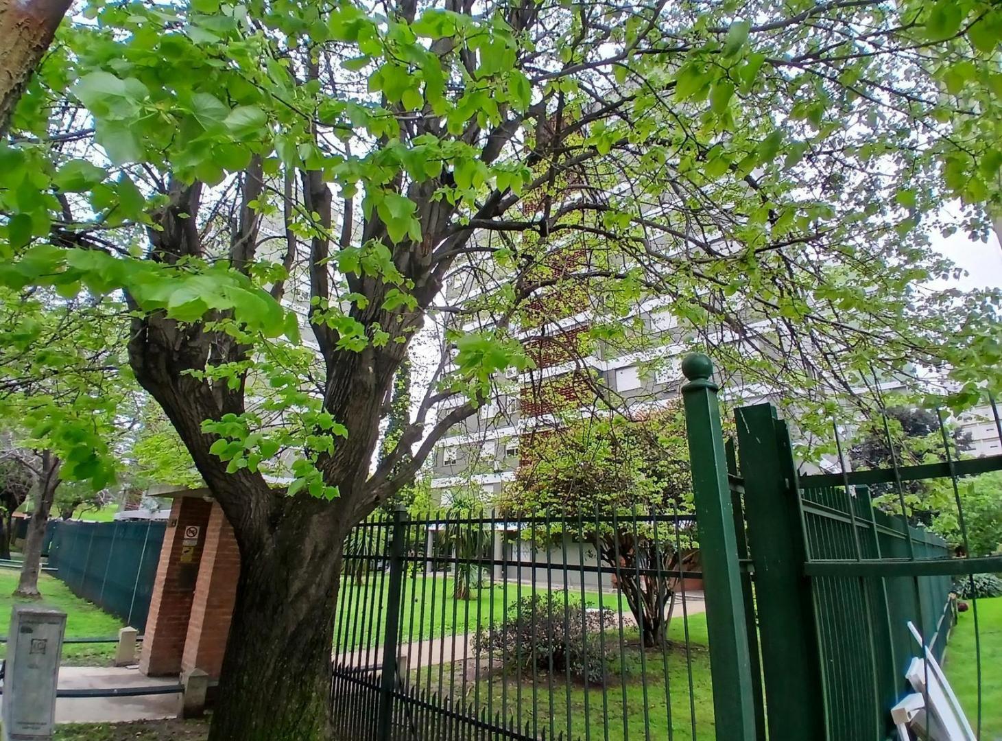 Foto de Impecable Departamento 3 dormitorios en Barrio Guemes de Avellaneda, imagen 5