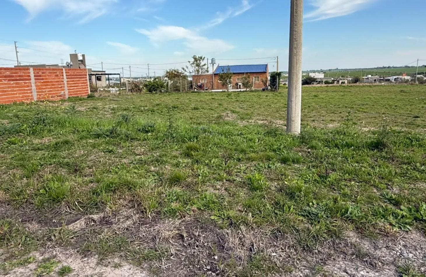 Foto de TERRENO EN COLONIA ENSAYO, LOTEO TIERRA ALTA, SUP DE 450 M2, imagen 2