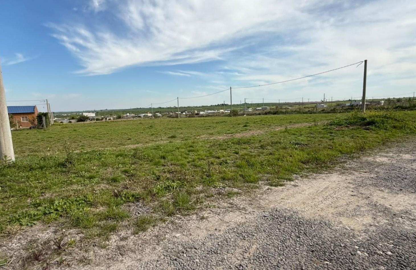 Foto de TERRENO EN COLONIA ENSAYO, LOTEO TIERRA ALTA, SUP DE 450 M2, imagen 4
