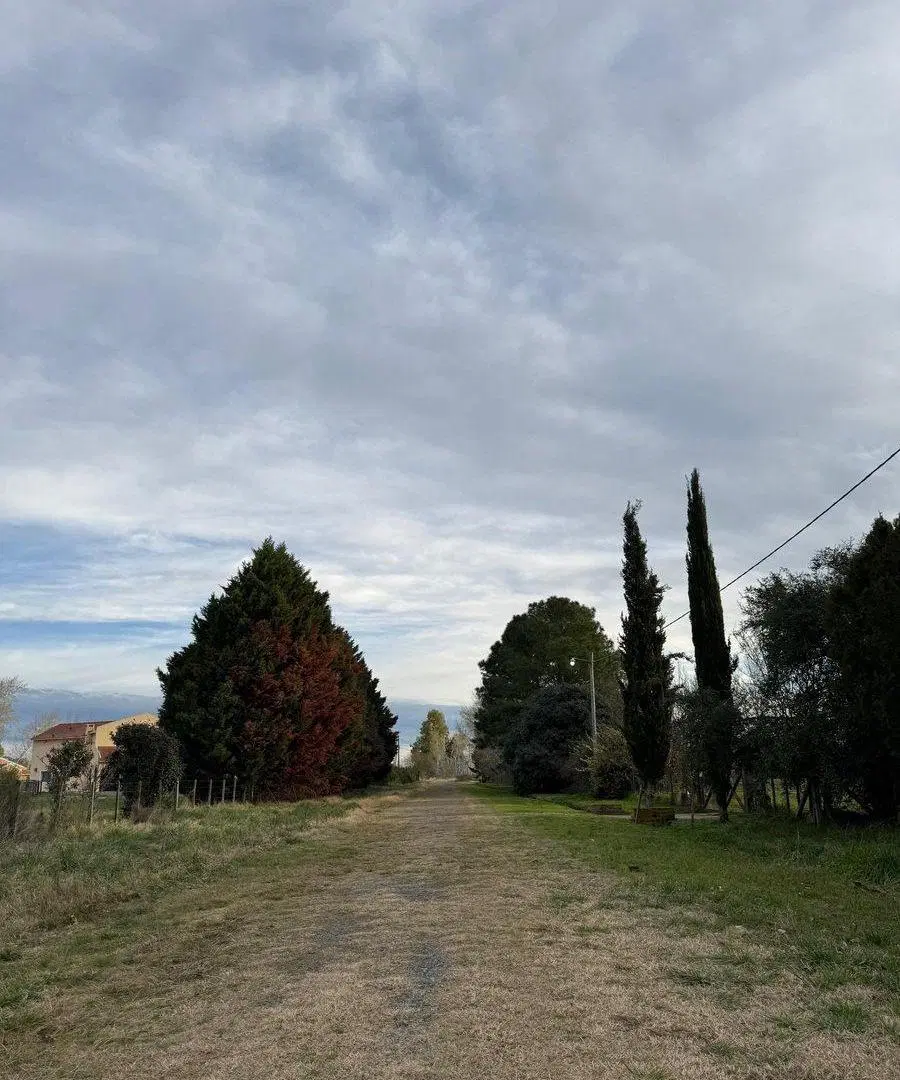 HECTAREA-ESTANCIA LA MORA/LUZ-PERMUTA EN MERCEDES! 3