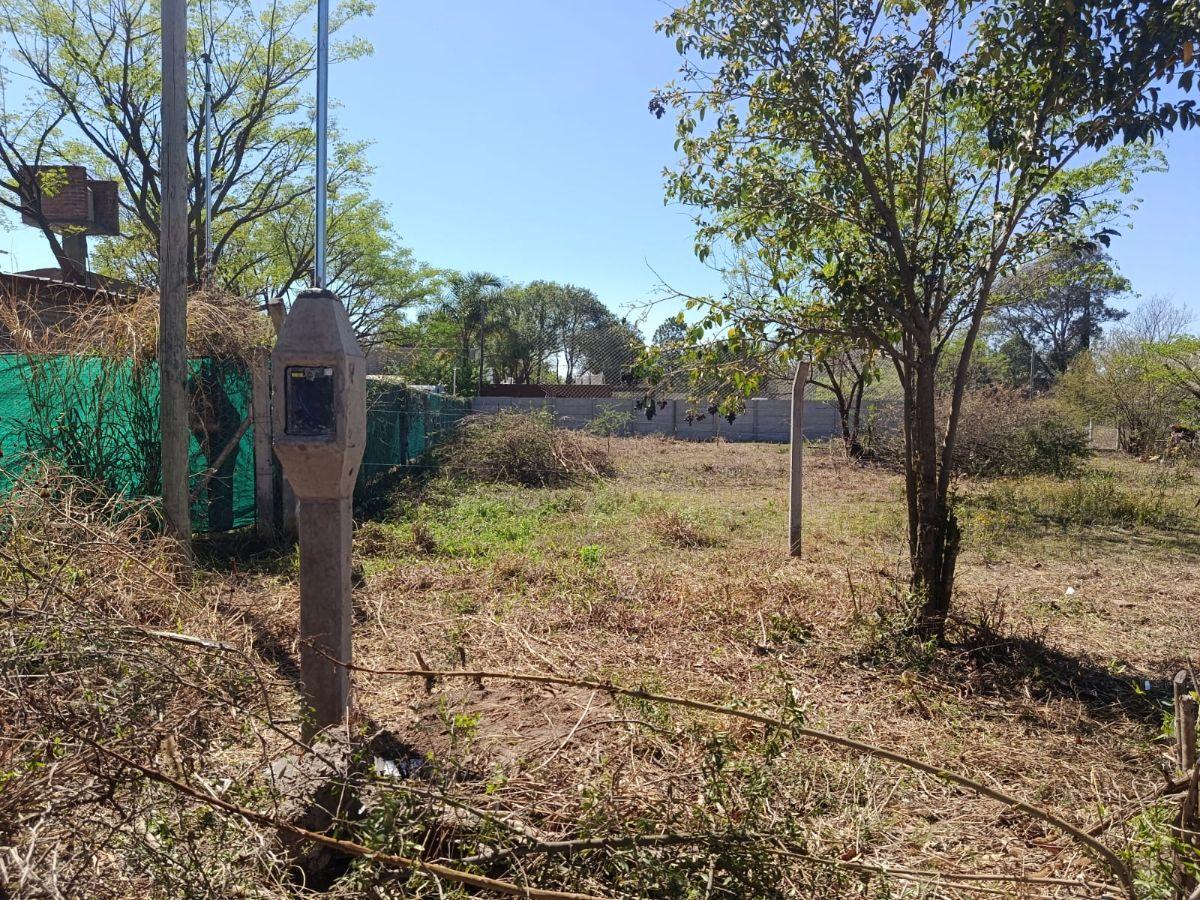Foto de Terreno en Venta San Luis El Prado, imagen 5
