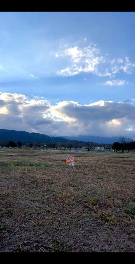 Foto de Vendo Lote en La Arbolada, imagen 3