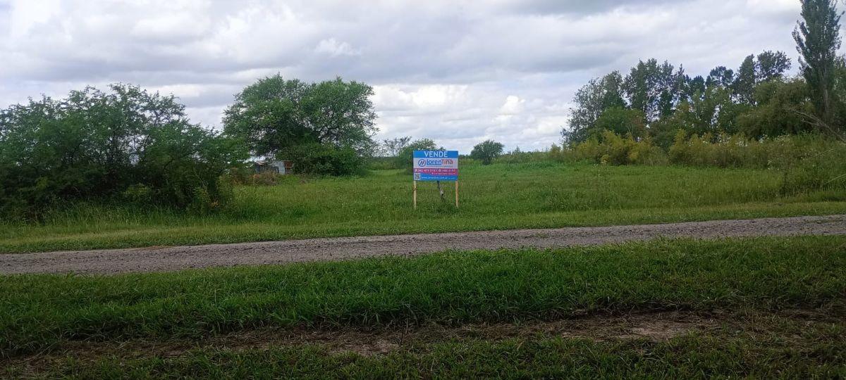 Foto de Terreno de buenas dimensiones camino a Esperanza y próximo a los, imagen 5