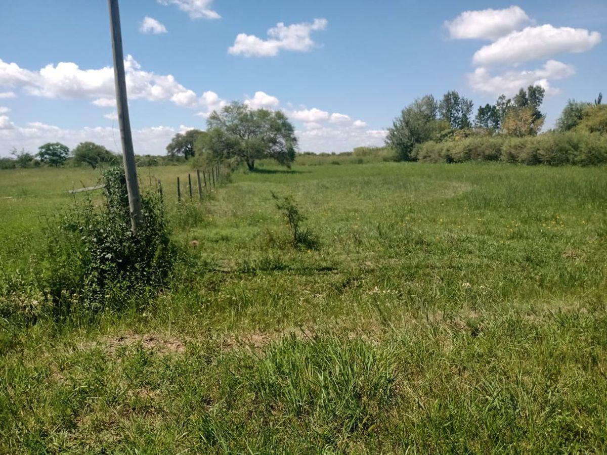 Foto de Terreno de buenas dimensiones camino a Esperanza y próximo a los, imagen 4
