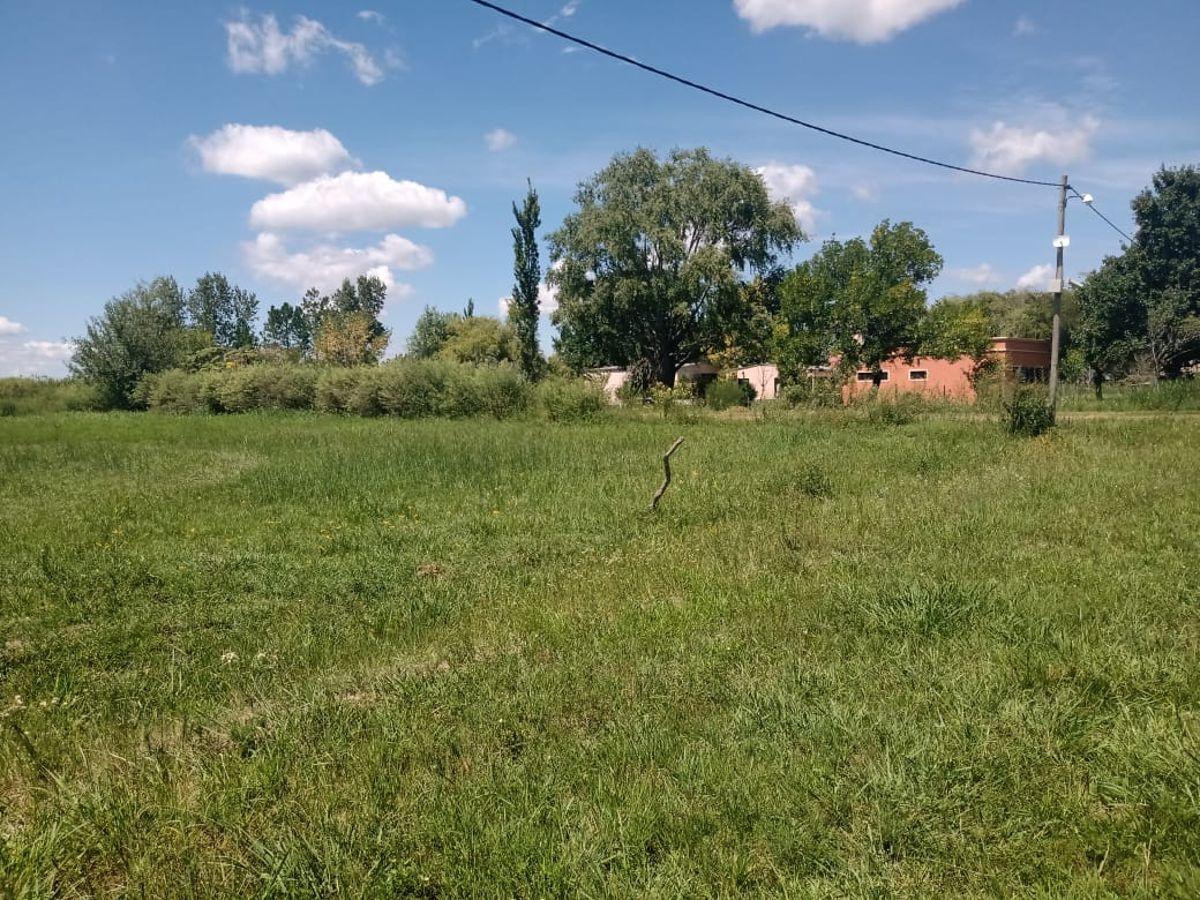 Foto de Terreno de buenas dimensiones camino a Esperanza y próximo a los, imagen 3