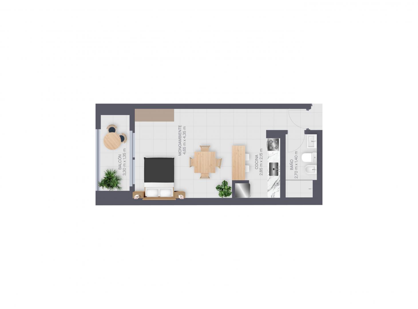 MONOAMBIENTE