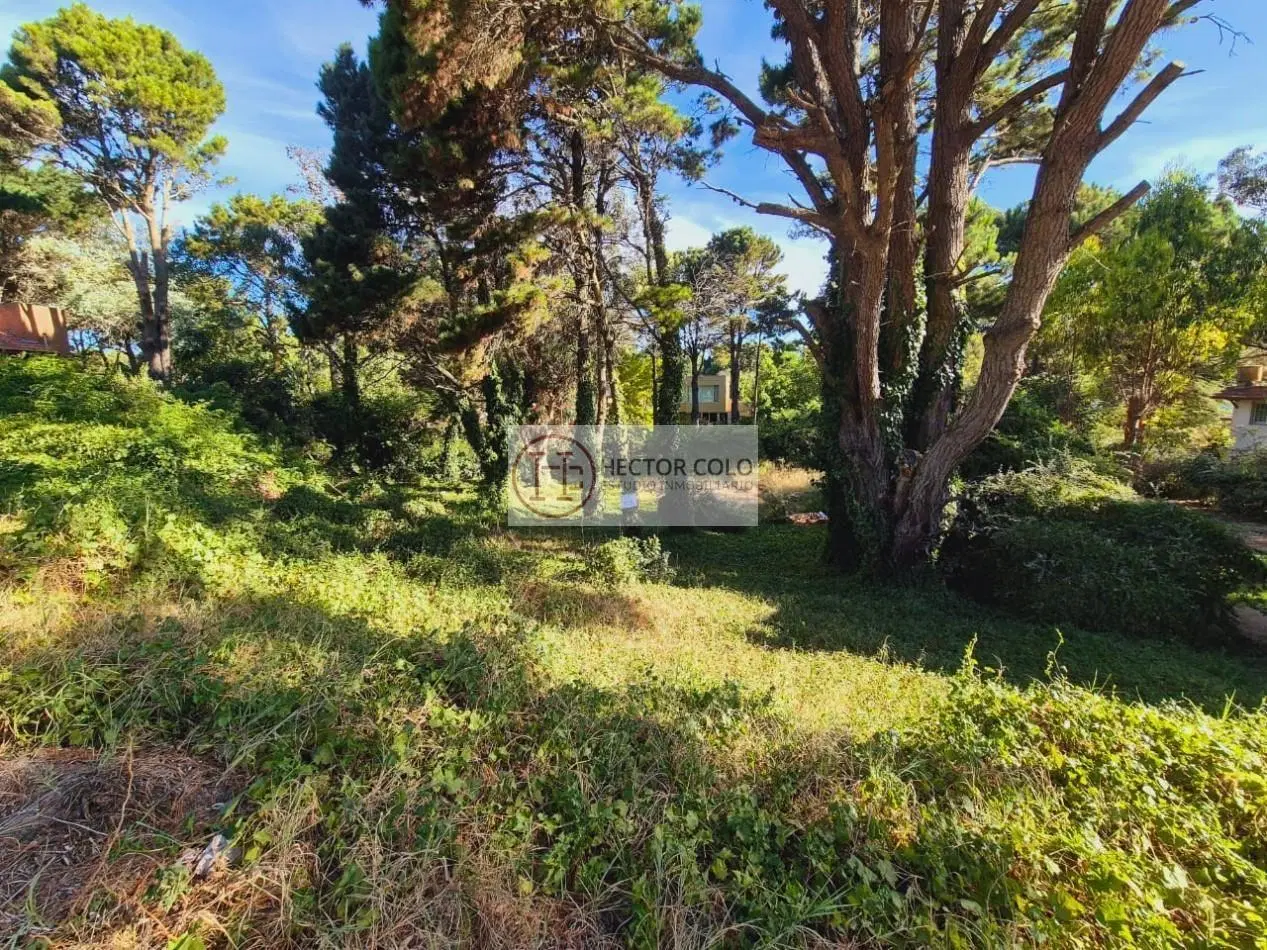 Venta Terreno Valeria del Mar 5