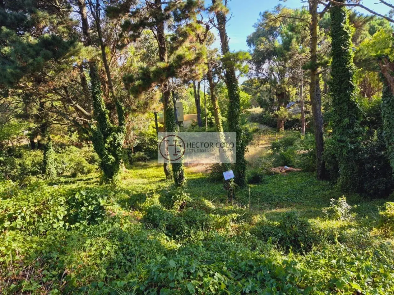 Venta Terreno Valeria del Mar 4