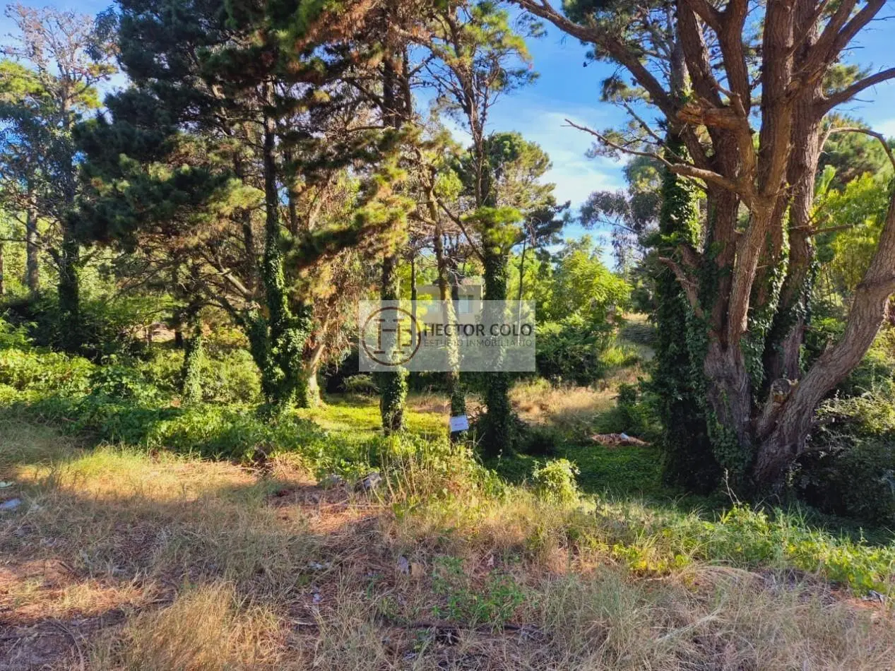 Venta Terreno Valeria del Mar 3