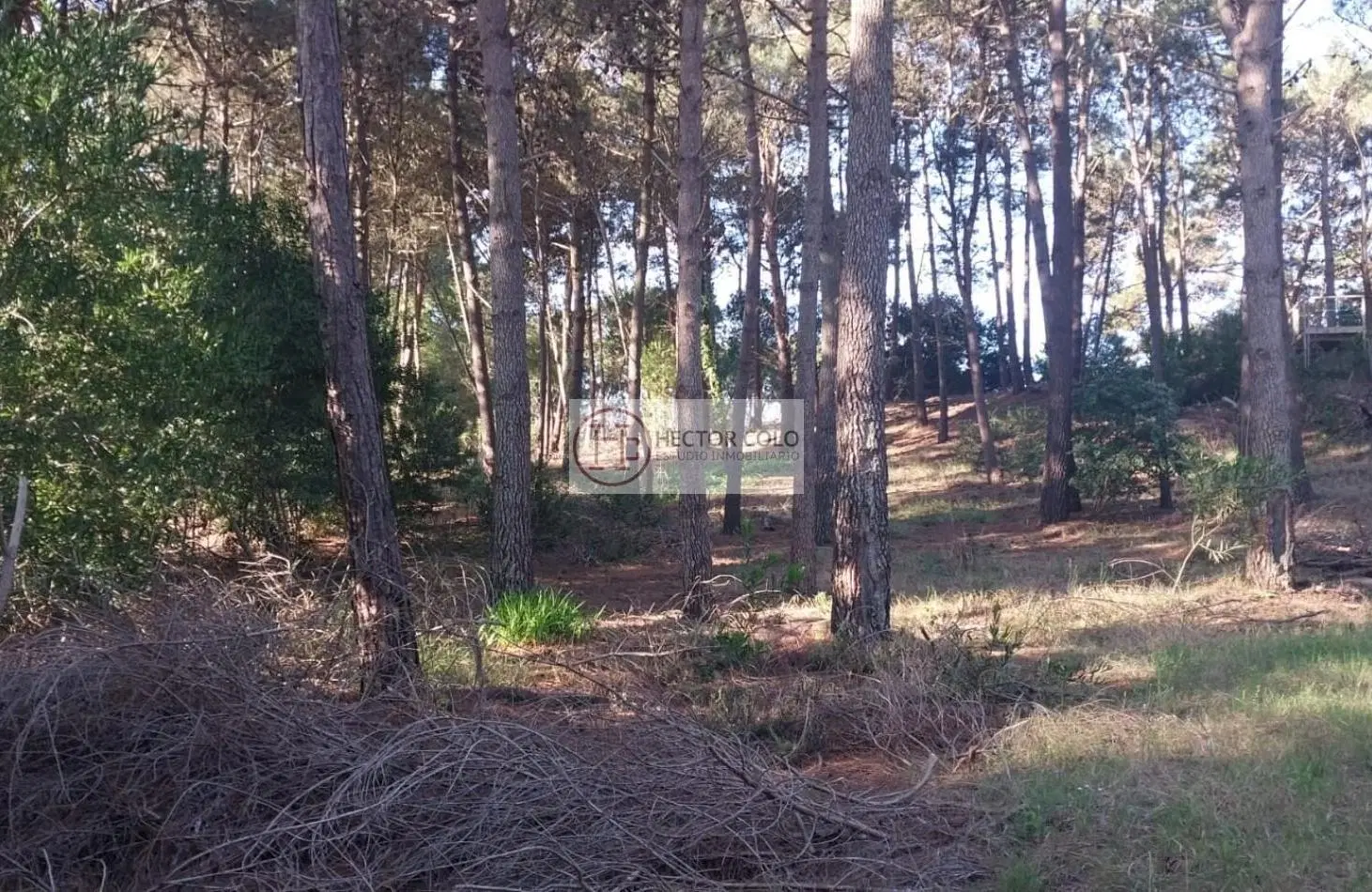 Venta de terreno Pinamar 2