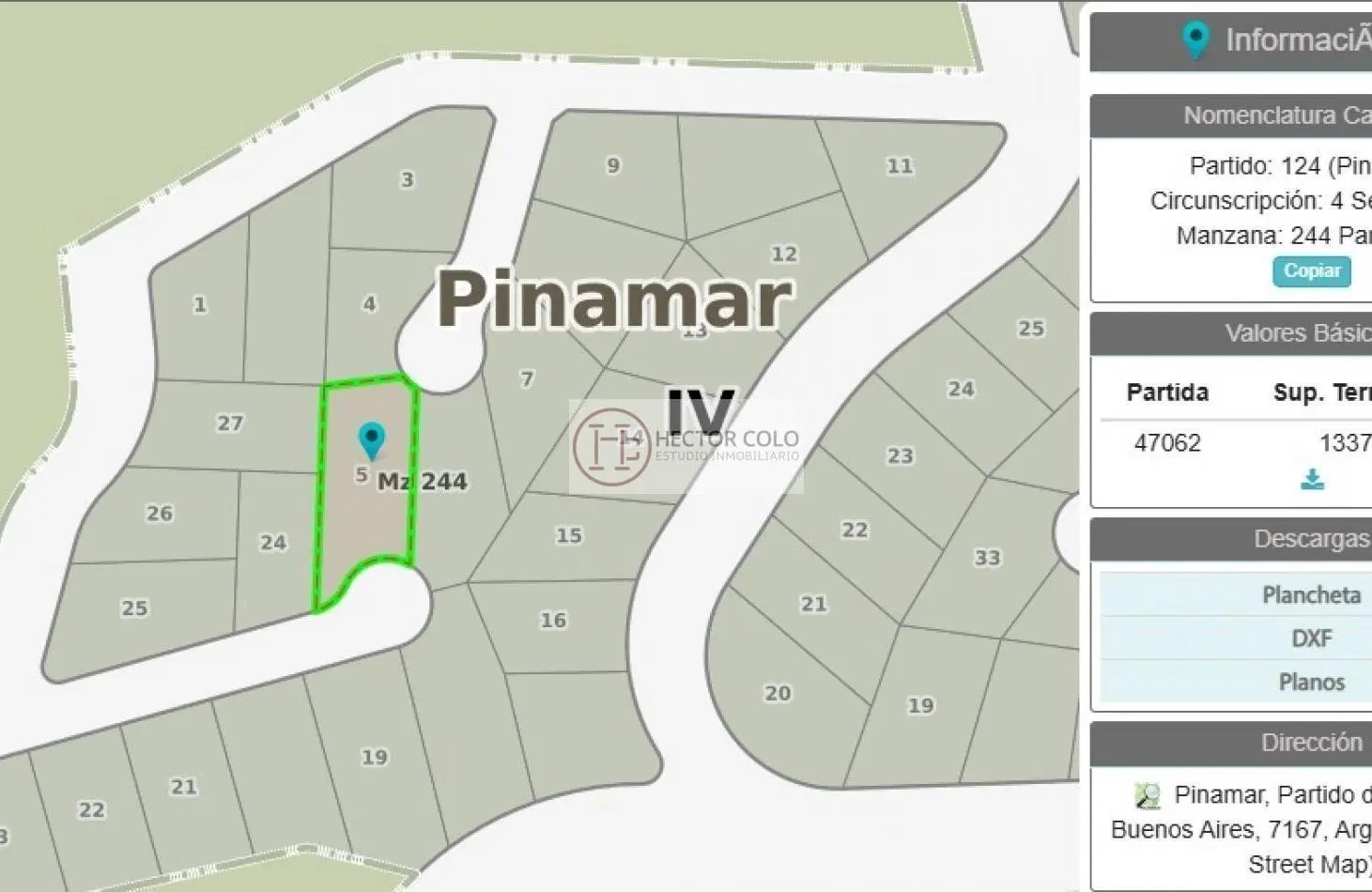Plano 1