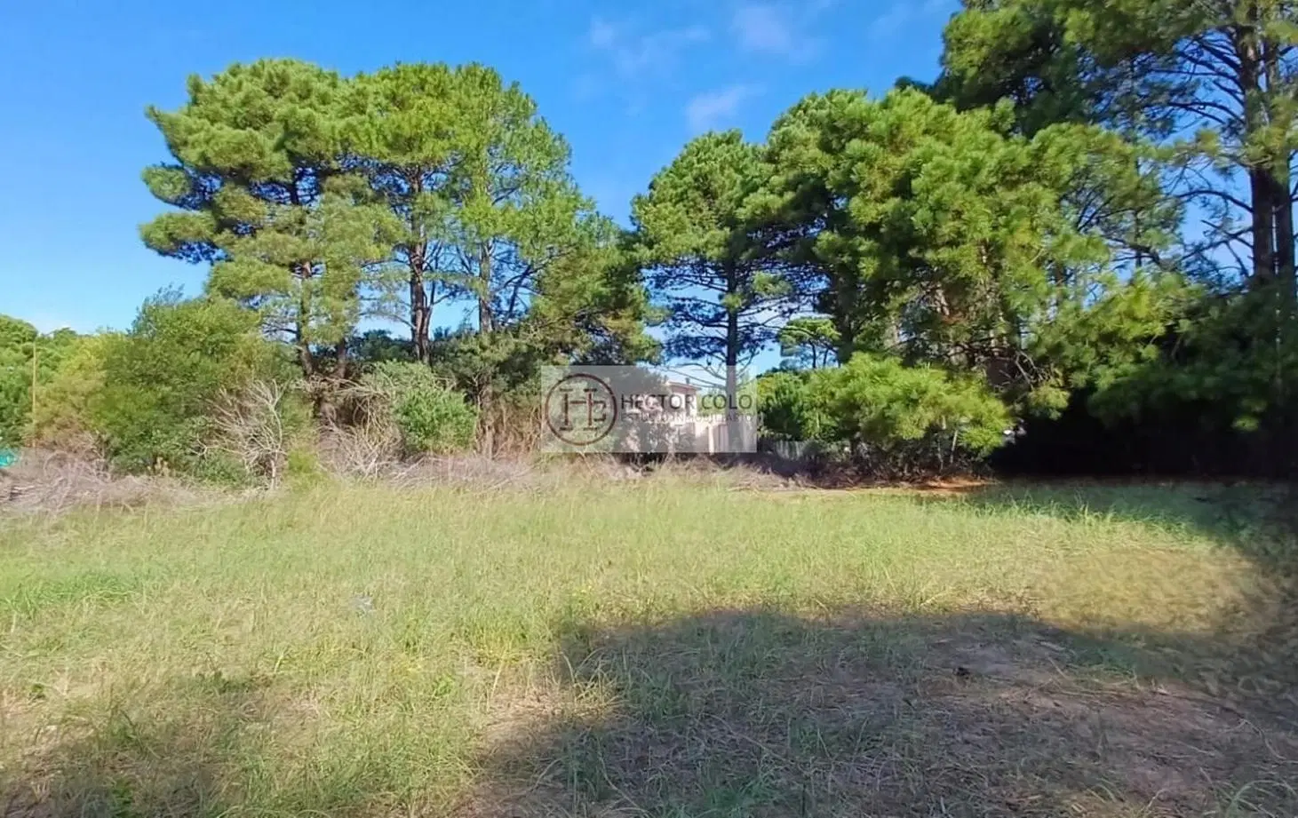 Venta Terreno Pinamar 3