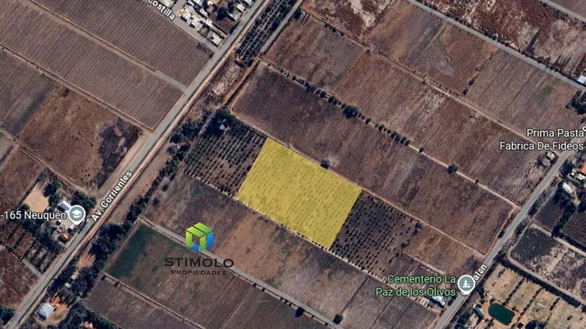 VENDO 30.000 m2 DE TERRENO CULTIVO EN SAN MARTIN 3
