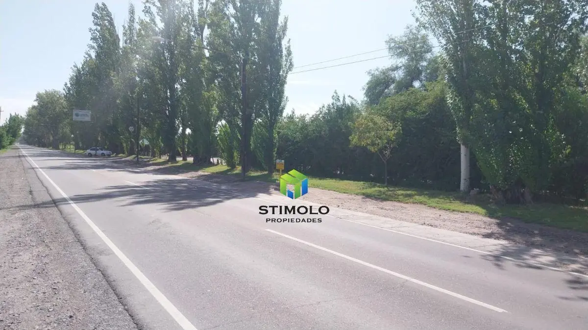 VENDO 30.000 m2 DE TERRENO CULTIVO EN SAN MARTIN 2