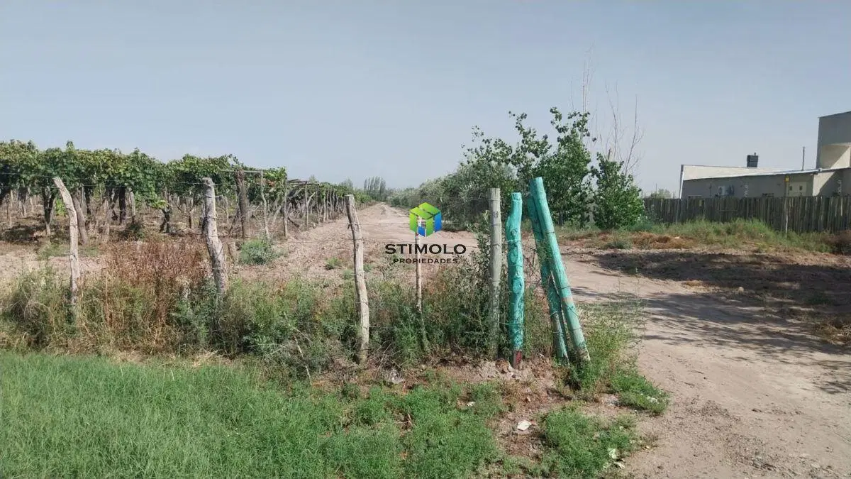 Vendo 3 Hectáreas de Terreno Cultivo en San Martin 8