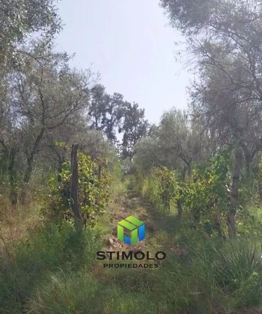 Vendo 3 Hectáreas de Terreno Cultivo en San Martin 4