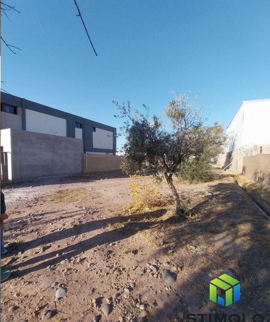 Foto de VENDO LOTE CON ESCRITURA APTO PH EN B° OLIVOS DE RUSSELL DE MAIPÚ, imagen 5