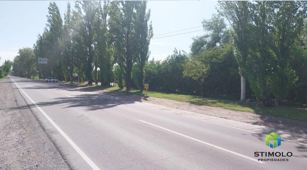 Foto de VENDO 4 HECTÁREAS DE TERRENO CULTIVO EN SAN MARTIN, imagen 1