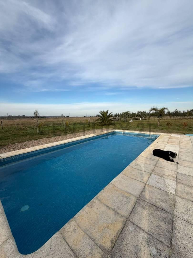 Foto de VENTA CHACRA DE 5 HA EN CAÑUELAS , CON VIVIENDA, QUINCHO Y PISCINA, imagen 3
