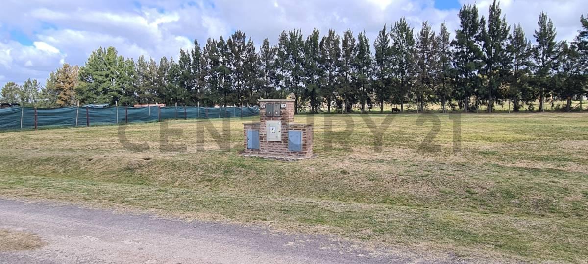 Foto de TERRENO VENTA BARRIO LAS CALANDRIAS CAMPANA, imagen 3