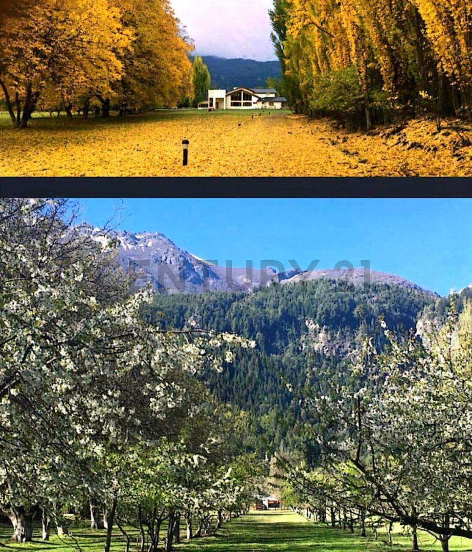 Foto de VENTA CAMPO CON CASA Y CABAÑAS EN 7,5 HECTAREAS EN LA ¨PATAGONIA, imagen 3