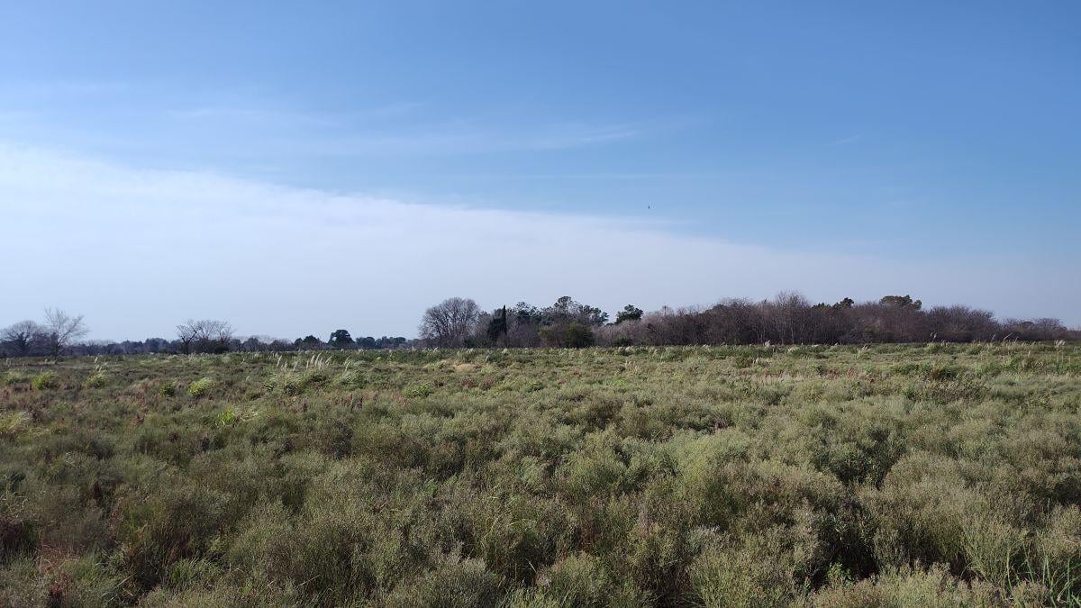 Foto de VENDO campo 3.1 hectáreas ideal emprendimiento, imagen 3